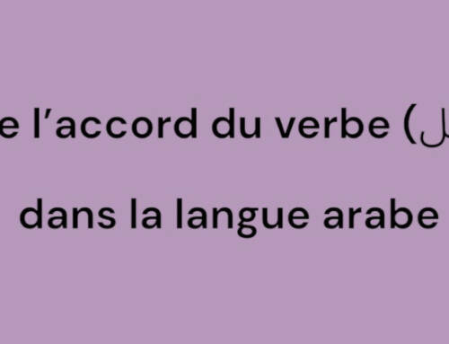 Apprendre l’accord du verbe (مطابقة الفعل) dans la langue arabe
